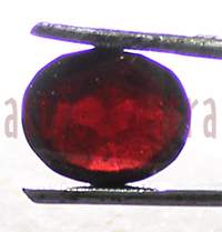 No Image Found